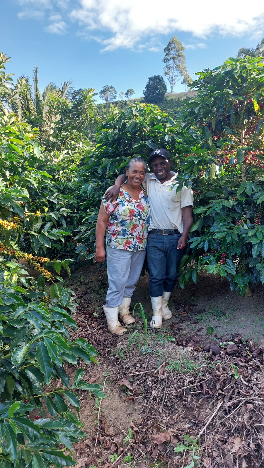 Casal de produtores sorrindo em meio ao cafezal durante a colheita
